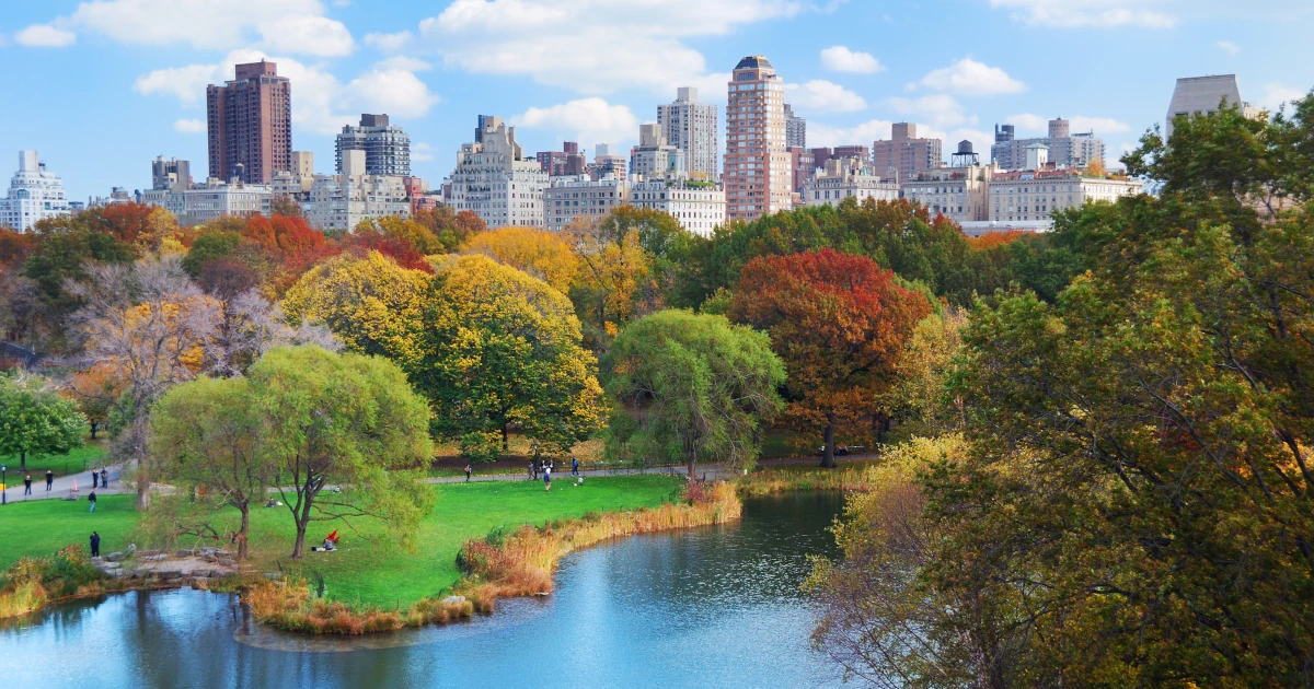 Verify Your Business Name With a New York Business Name Search