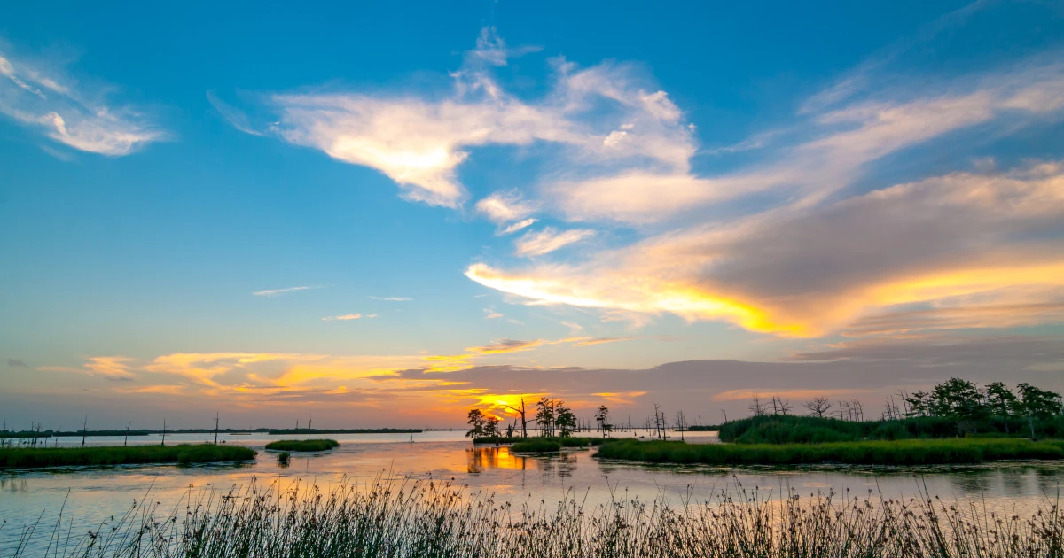 Louisiana LLC Operating Agreement: Drafting Checklist