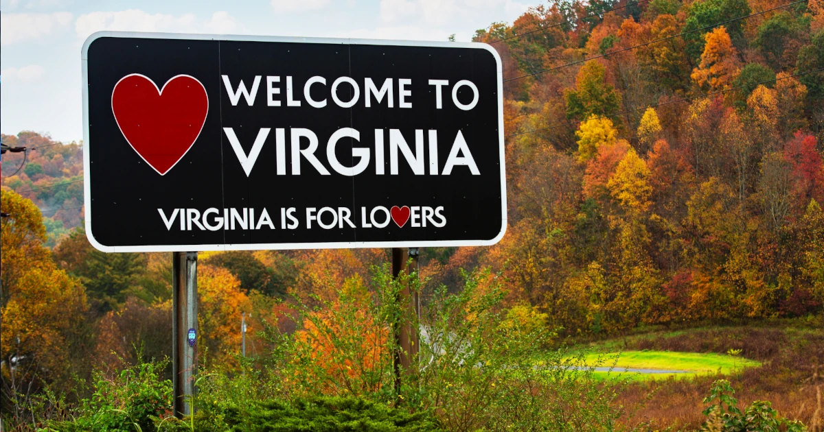 Virginia LLC Operating Agreement: Drafting Checklist