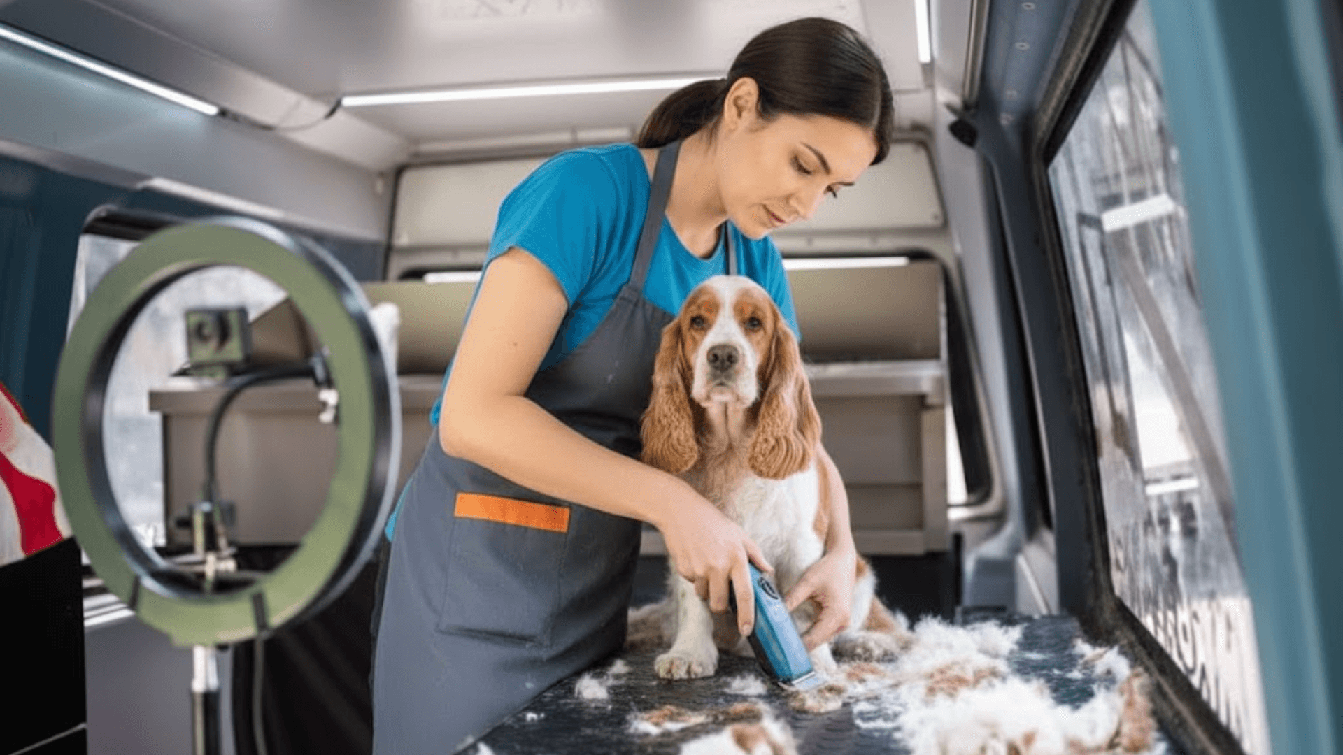 A woman grooming a pet