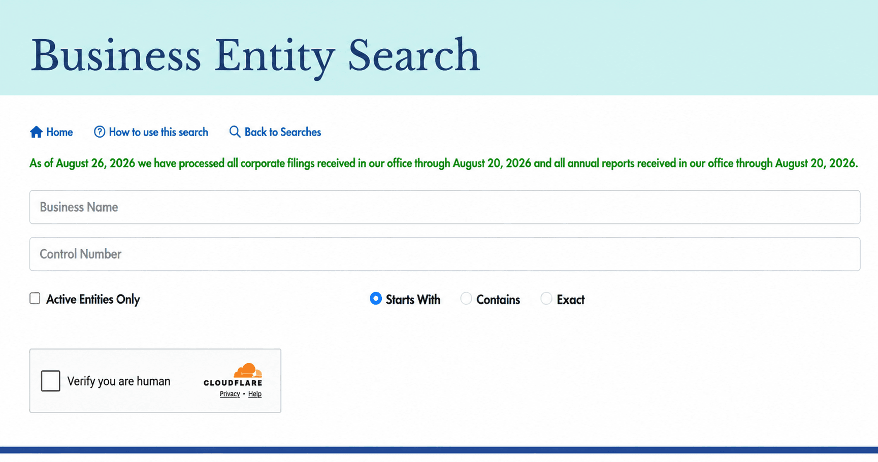 Business Entity Search Portal