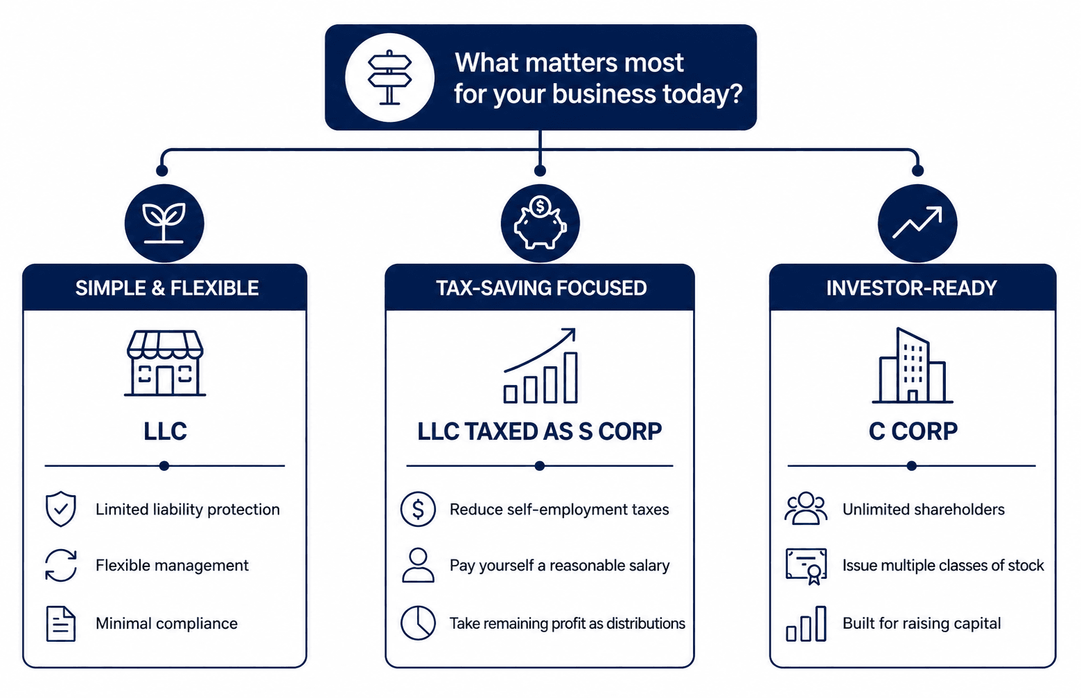 Business structure choices