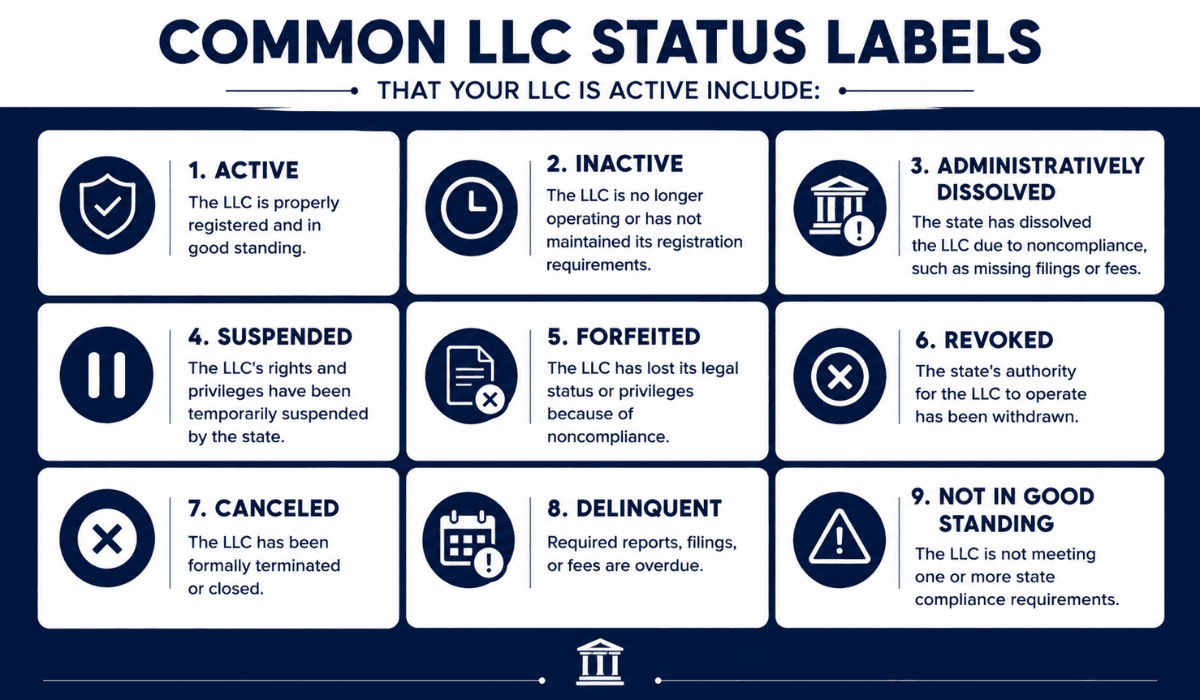Check Your Business Status
