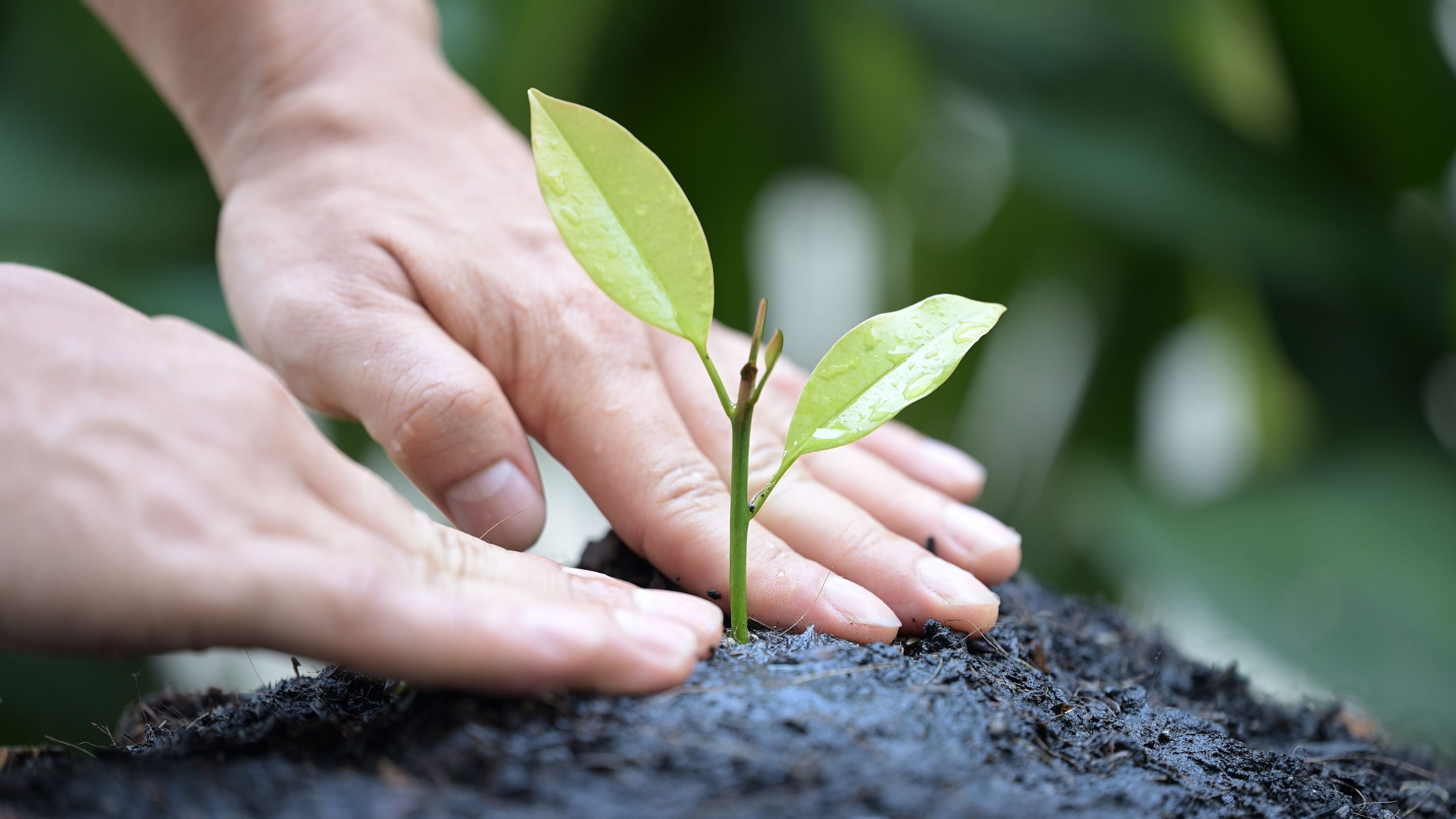 How Long Does It Take to Get 501(c)(3) Status?