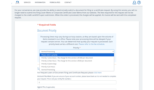 LLC filing fee and processing options shown during DIY state filing