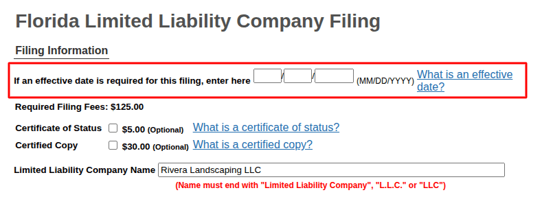 Florida LLC filing form highlighting the optional effective date field above the business name